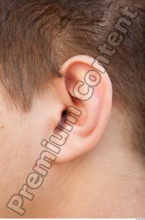Ear texture of street references 421 0001